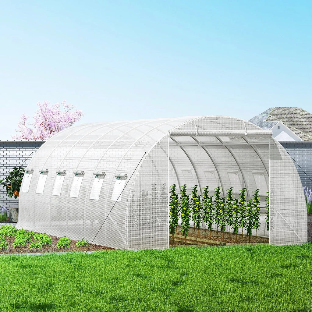 Vrtni rastlinjak 6x3x2m – kovinski rastlinjak s folijo